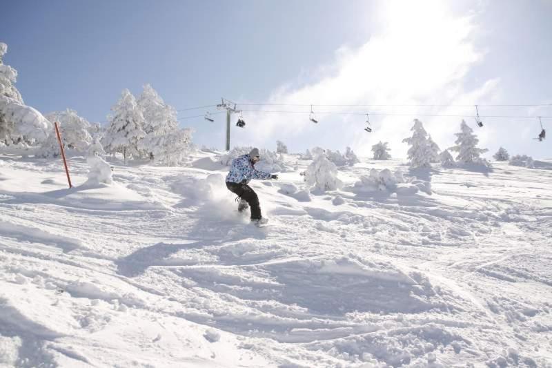Ski & Nature Javalambre كامارينا دي لا سييرا المظهر الخارجي الصورة